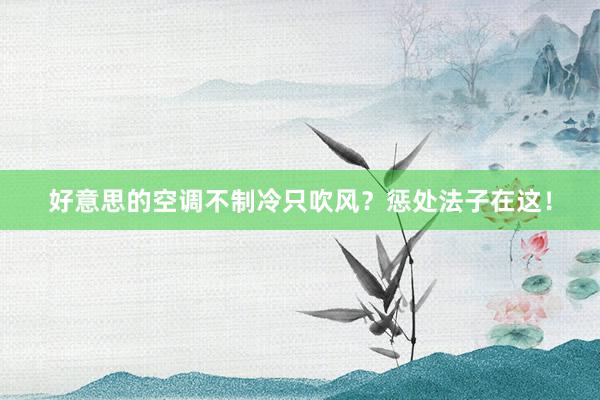 好意思的空调不制冷只吹风？惩处法子在这！